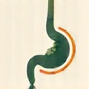 Icon showing a healthy gut or digestive system, representing better digestion.